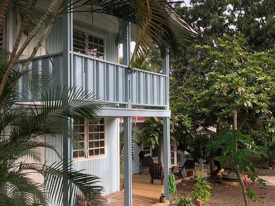 Herbert'S Place Cabo Rojo